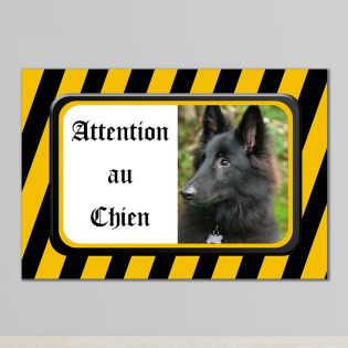 Personalized plaque | BEWARE OF DOG