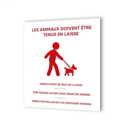 Pictogramme panneau signalétique format 20 cm x 20 cm en Dibond Blanc Picto Noir - Modèle Animaux en laisse