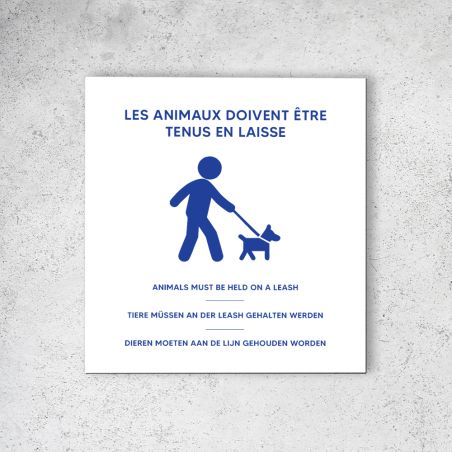 Pictogramme panneau signalétique format 20 cm x 20 cm en Dibond Blanc Picto Bleu - Modèle Animaux en laisse