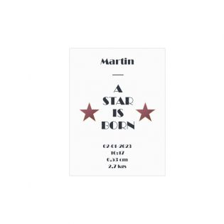 Personalized decorative plaque · Walk of fame - A star is born | White