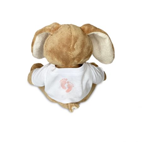 Peluche animal avec t-shirt personnalisable Prénom et Photo · Cadeau naissance bébé · Lapin