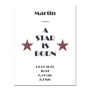 Personalized metal plaque · Walk of fame - A star is born | White