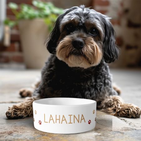 Personalized ceramic dog bowl | Animal paw patterns