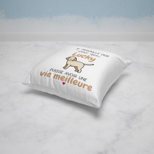 Coussin personnalisé carré 40 x 40 cm humoristique "Je travaille dur pour mon chien"